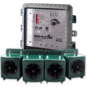 BROAD BAND PRO ( Dual Model SONIC & Ultrasonic Mode)